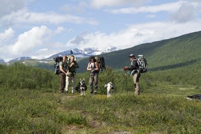 Bestiga kebnekaise med hund
