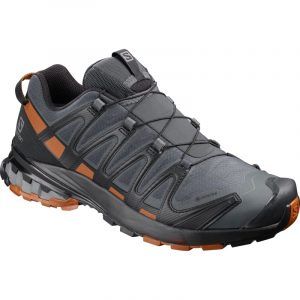 Men's XA Pro 3D V8 Gore-Tex