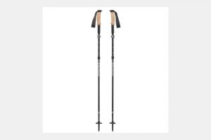 Black Diamond Alpine FLZ Trekking Poles