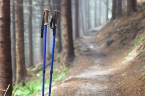 Stavdesign vandringsstavar