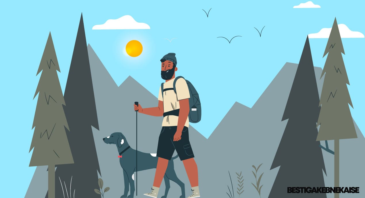 varför använda vandringsstavar