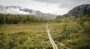 Kungsleden