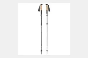 Black Diamond Alpine FLZ Trekking Poles