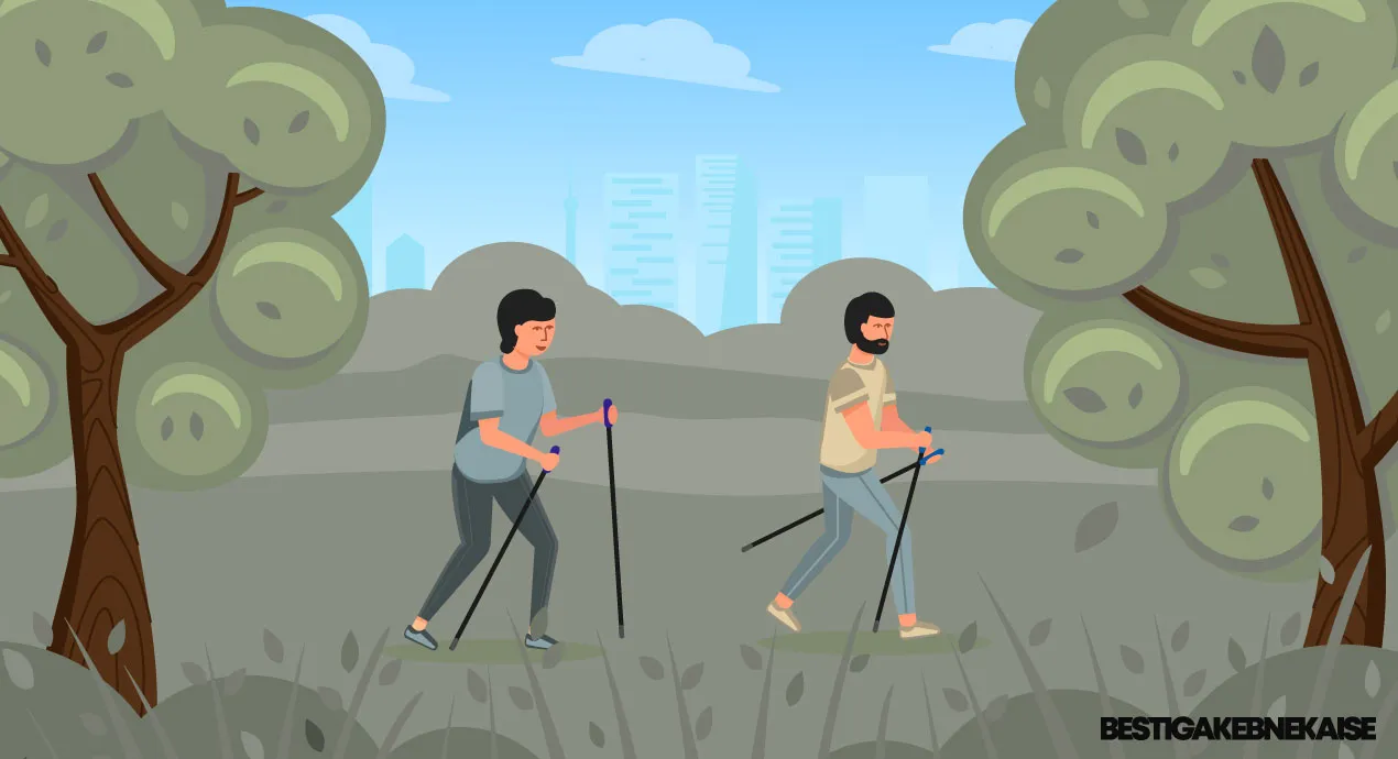 Vad ska man tänka på då man köper gåstavar