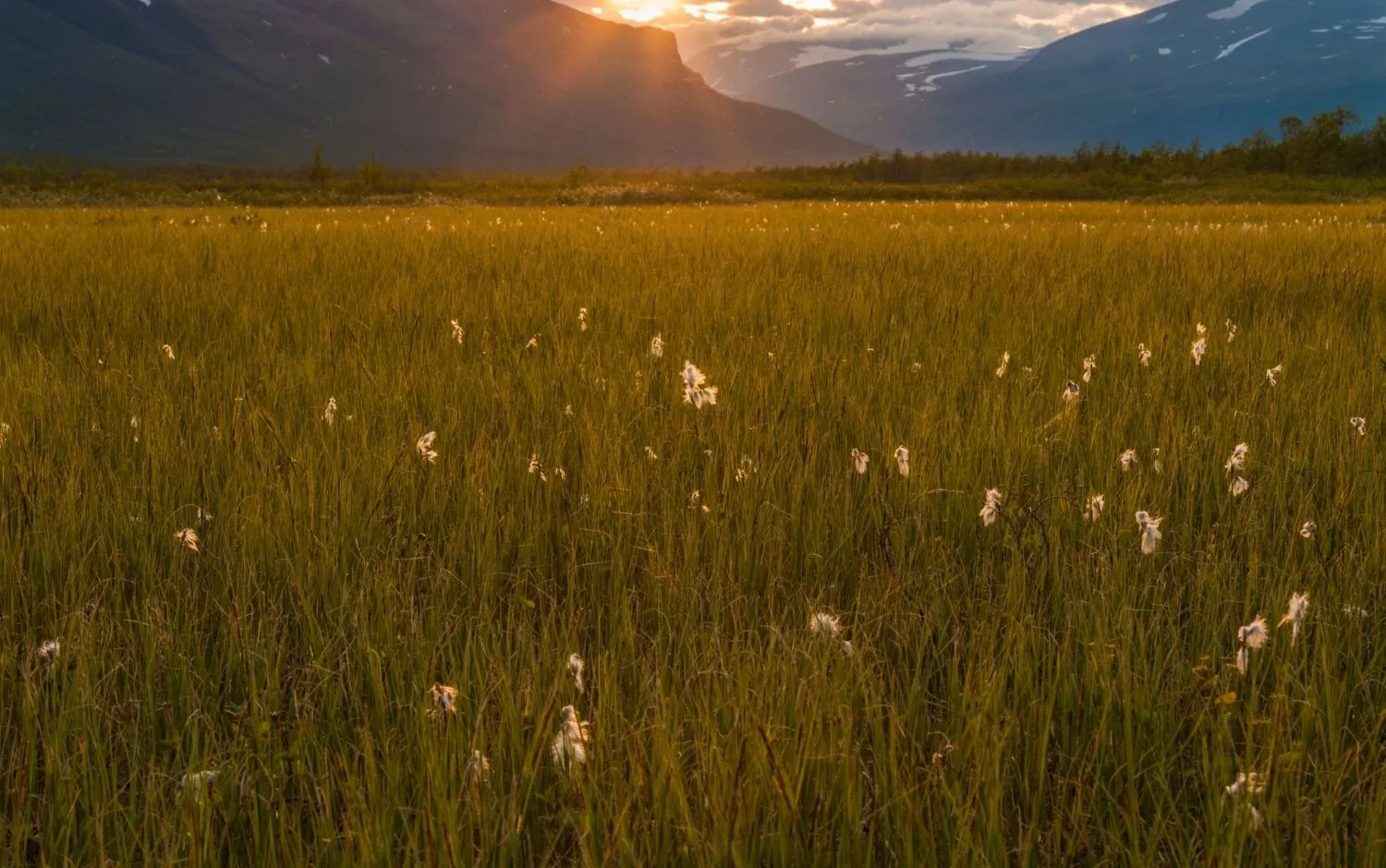 bestiga kebnekaise juni