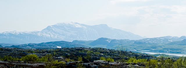 Skanderna